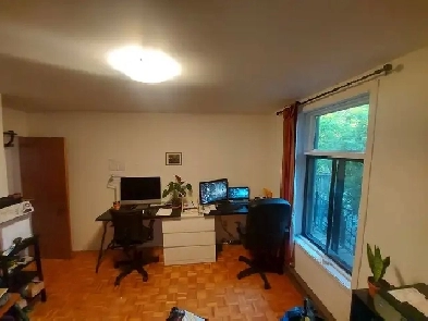 Beautiful apartment 4 in half Image# 7