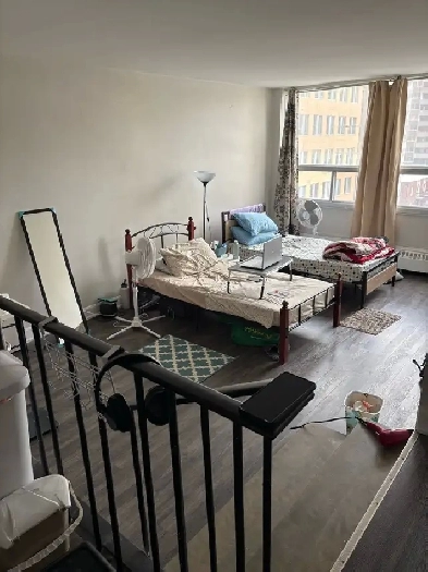 Shared hall space for a girl Image# 1