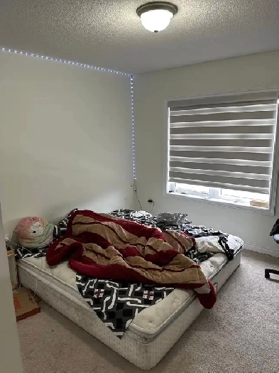 Basement for Rent! Image# 1