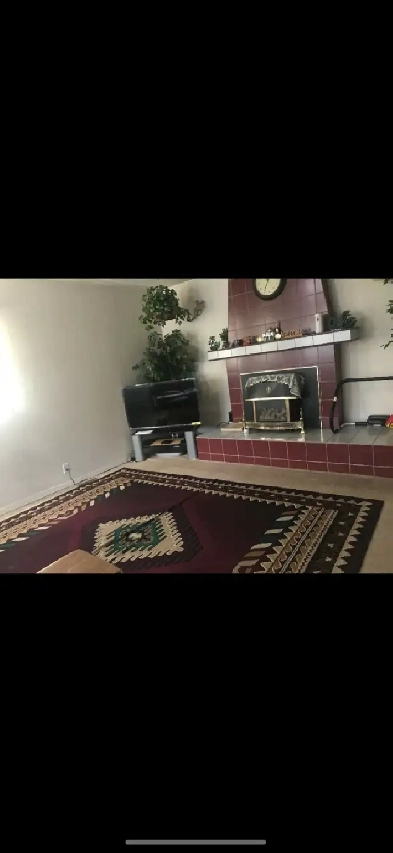 Room for Rent Near Whitehorn LRT Image# 1