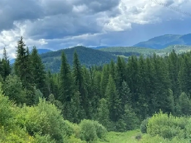 160 Acres Secluded with Creek Off Grid Salmo BC Image# 1