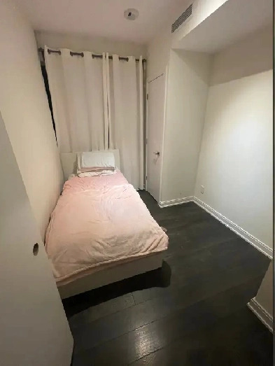 Room in a 2 bedroom apt for Rent (1,300 a month minus wifi) Image# 3