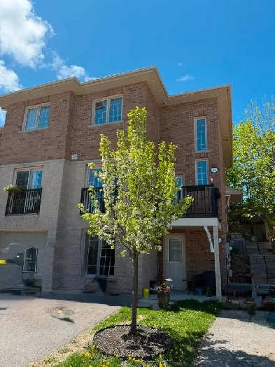 3 Bedroom Unit for Rent in North Barrie - July 1st 2025 Image# 1