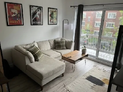 Appartement à louer dans Villeray - 1 chambre, 1 salle de bain Image# 6