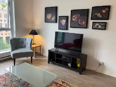 Furnished 1 Bedroom   Den Image# 1