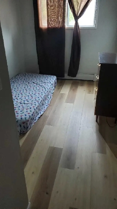 Room for rent share 2 bdr apartment Image# 1