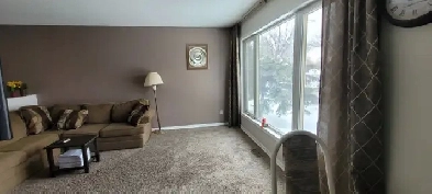 3-bedroom 2-bathroom house for rent in Mission Gardens Image# 4