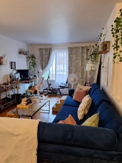 Grand 3 1/2 1300$ Quartier Rosemont Image# 7