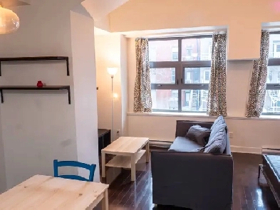 Condo for rent plateau montreal Image# 4