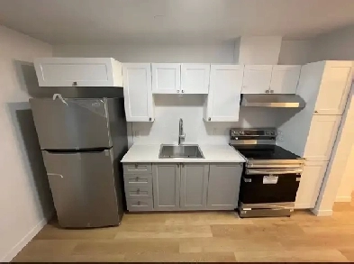Appartement récemment rénové à louer dans le Plateau Mont-Royal. Image# 2