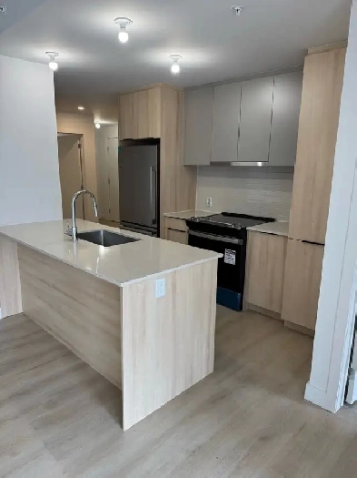 BRAND NEW CONDO FOR RENT Image# 2