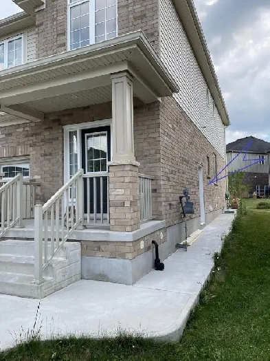 Immediate Occupancy - Legal 1-bedroom spacious basement for rent Image# 1