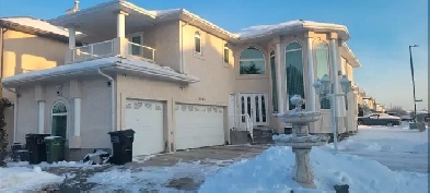 ROOM FOR RENT Image# 1