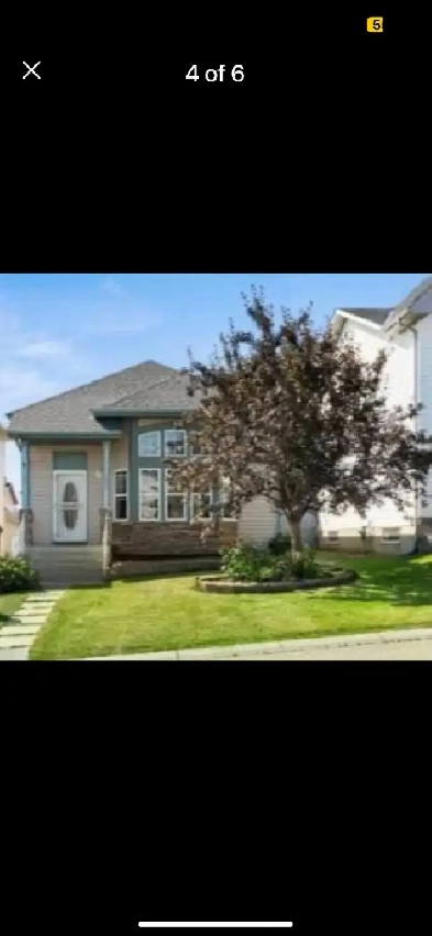 Basement Bedroom for Rent Image# 1