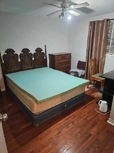 650 FURNISHED ROOM FOR RENT BANK ST & WALKELY ROAD ALL INCLUSIVE Image# 1