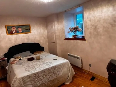 Excellent condo - rénové - deux chambres Image# 1