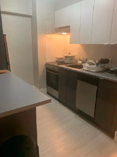 Lease Transfer – 3 1/2 au centre-ville Downtown (Métro Atwater) Image# 1