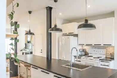 Condo Grand 3 1/2 à Québec (quartier St-Rock) Image# 4