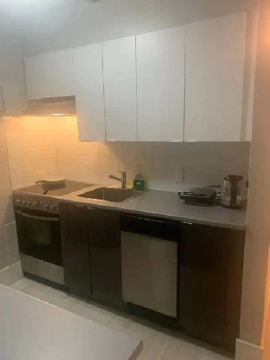 Lease Transfer – 3 1/2 Apartment Downtown Image# 1