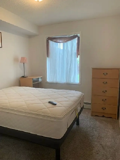 55  furnished Seniors apartment Image# 9