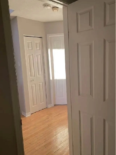 Furnished room rental in Orleans Image# 2