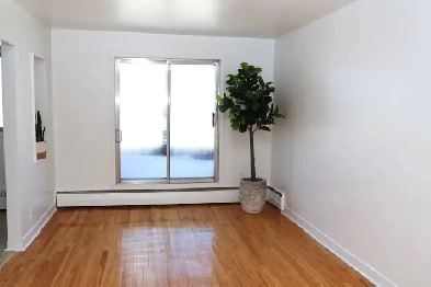 Anjou 3 1/2 Image# 1