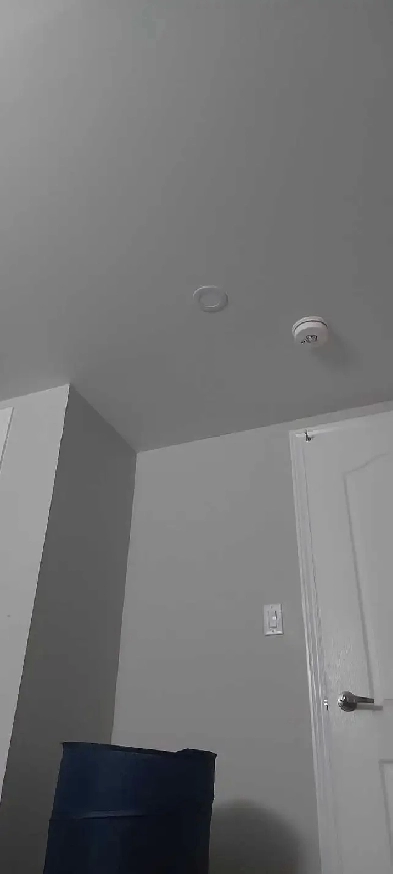 one room for rent in two bedroom basement Image# 1