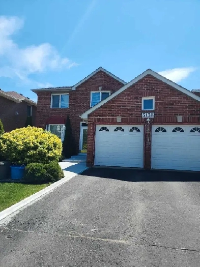 Room for Rent - Mississauga Image# 1