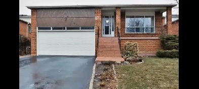 BIG SPACIOUS BASEMENT SHARING ROOM FOR RENT AVAILABLE GIRLS ONLY Image# 1