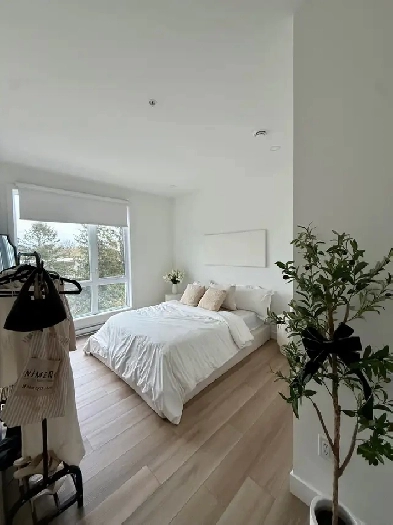 logement à louer Ste-Foy / cession 1er juillet Image# 1
