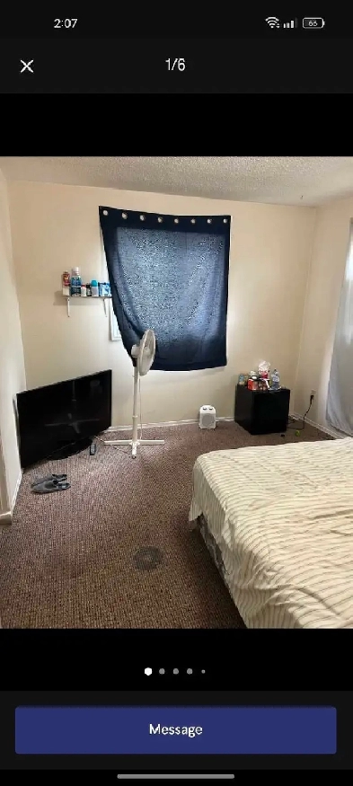 Very Large Bright Room for Rent Image# 1