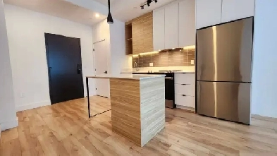 Appartment 3 et 1/2 - Place des arts - Transfer lease now Image# 1