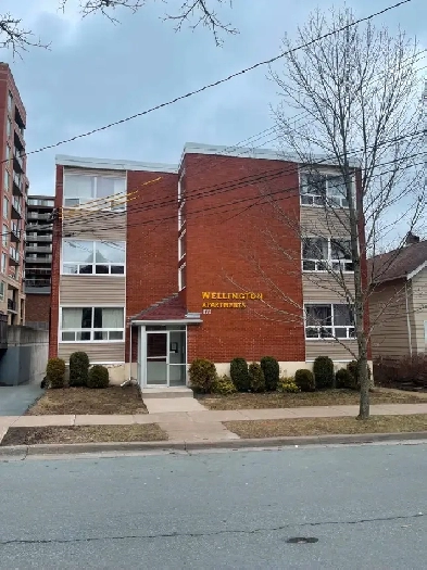 One Bedroom Apartment - 1173 Wellington Street Southend Image# 4