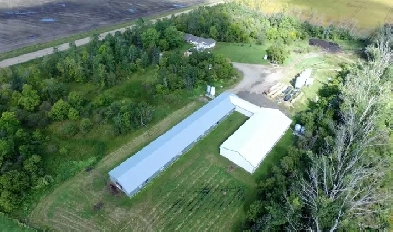 Broiler Barns Ready for Use! Image# 1