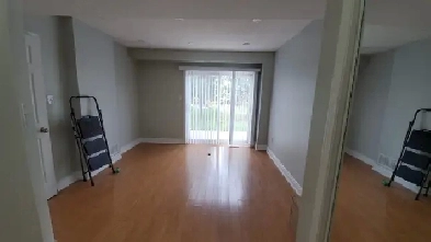 2 bedroom basement-Hurontario & Steeles, Brampton - Sheridan Clg Image# 2