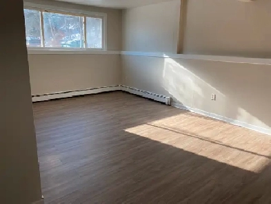 COZY 1-BEDROOM APARTMENT – AVAILABLE JUNE 1ST | DOGS WELCOME! Image# 10