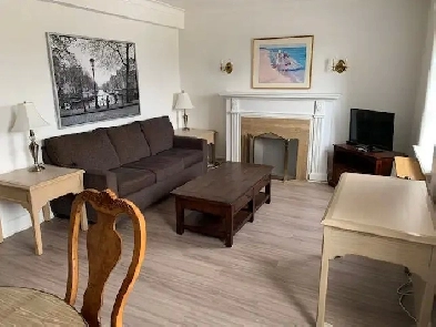 Large furnished 1 bedroom apartment at Yonge & St. Clair Image# 5