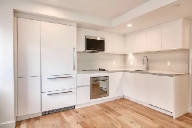 renovated 2 bedroom downtown near mcgill campus - ID 3953 Image# 1