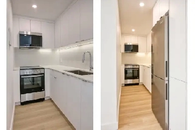 renovated studio apartment near Parc Jeanne-Mance - ID 3938 Image# 1