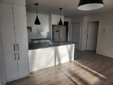 APPARTEMENT  3 ½  au cœur de Ste-Foy Image# 1