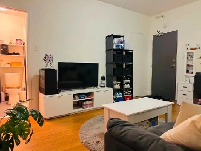 Cozy 1 bedroom apartment for rent in West Toronto (Parkdale) Image# 11