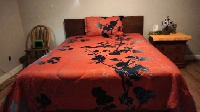 Acadia  King  Renovated Furnished Room, Walk to Heritage LRT Image# 1