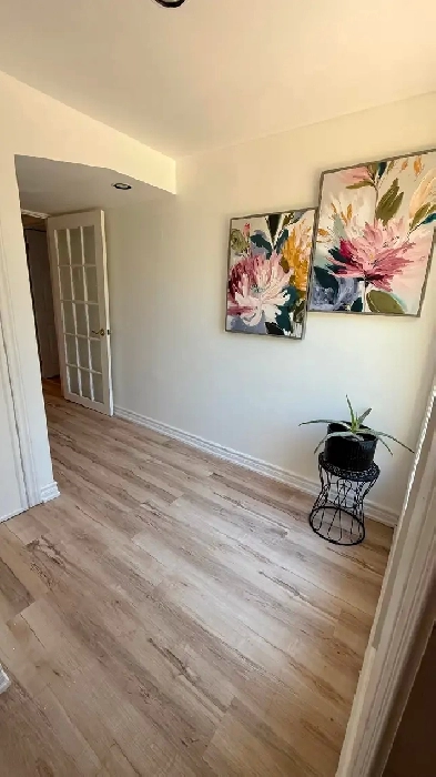 Furnished one bedroom apartment for rent Image# 8
