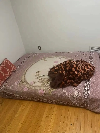 SPACIOUS PRIVATE ROOM FOR RENT AVAILABLE IMMEDIATELY GIRLS ONLY Image# 1