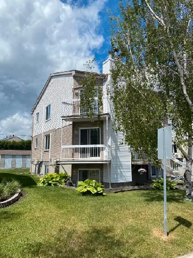 4-1/2 Tout rénové au rez de chaussée Image# 1