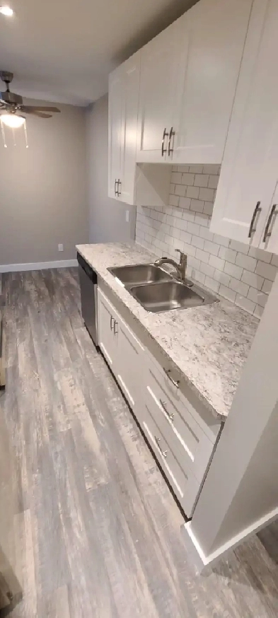1 Bedroom Apartment Fully Renovated Image# 4
