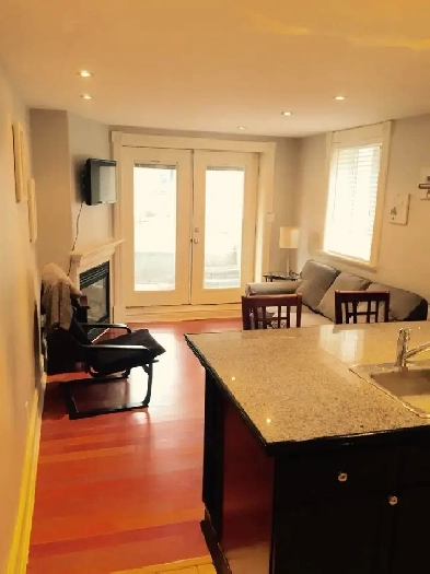 Glebe 1 bedroom apartment Image# 8