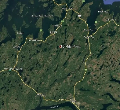 Waterfront Cabin for Sale, 10 Mile Pond, Central Newfoundland Image# 1