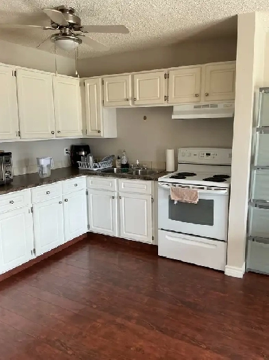 SPACIOUS ONE BEDROOM - PET FRIENDLY! Image# 8