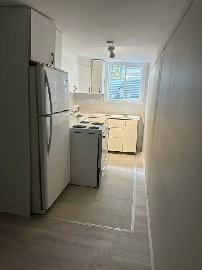 SUN FILLED THREE BEDROOM BASEMENT FOR RENT - NEWMARKET Image# 2